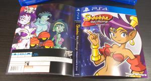 Shantae- Risky's Revenge - Director's Cut (09)